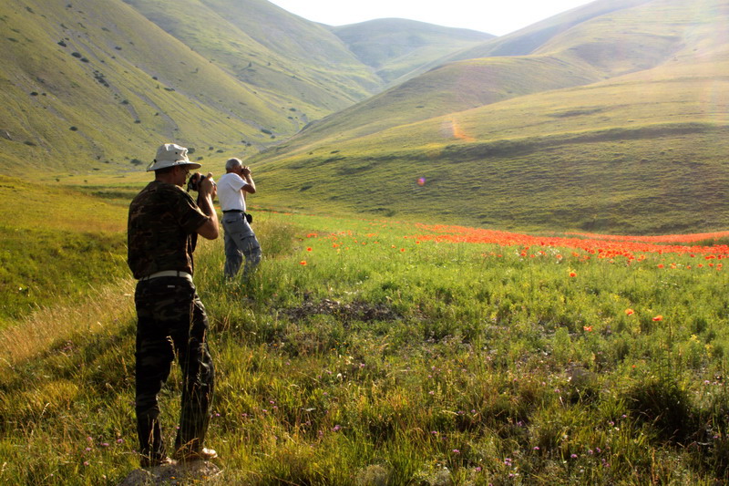 in alta quota nei miei Sibillini
